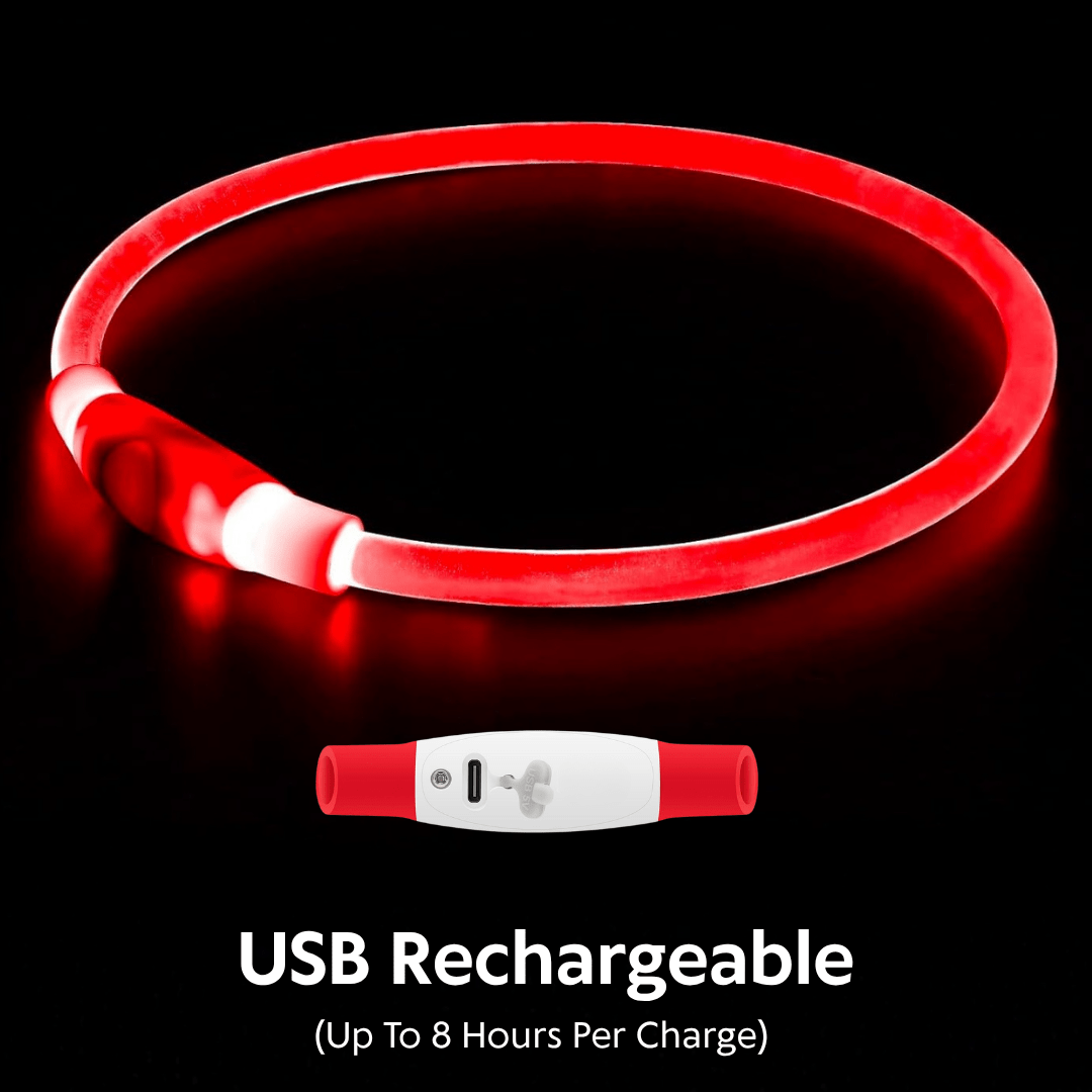 Honden OptiLeds© Nekband