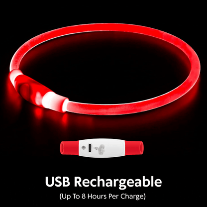 Honden OptiLeds© Nekband